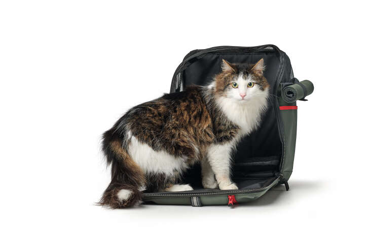 HUNTER Rucksack Orlando